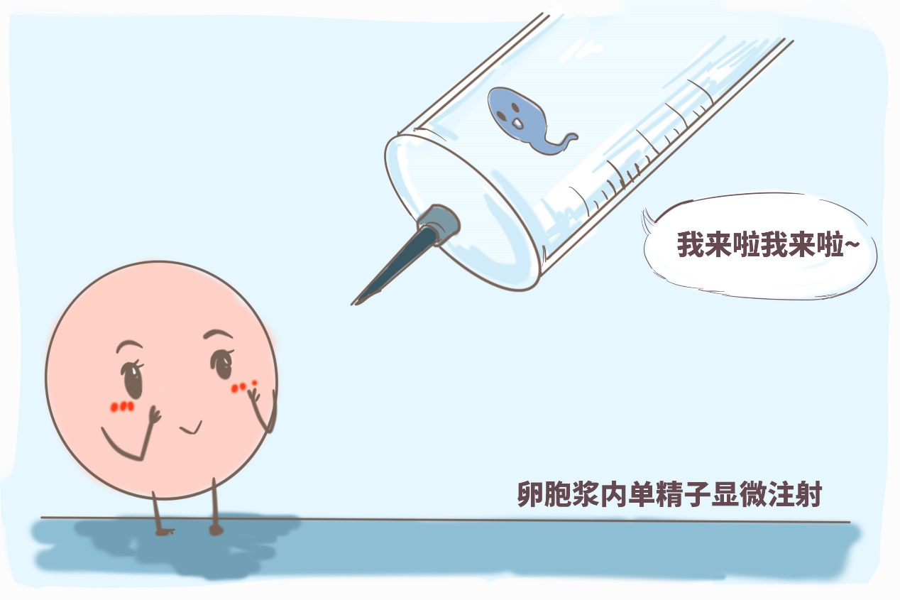 2020年孕期计算器 孕期计算器在线计算日历